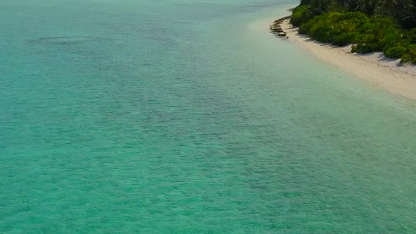Sunny panorama of seashore beach wildlife by ocean with sand background near resort