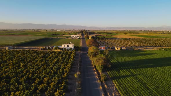 Pedregal Aerial shots of the area and its way of farming and life, at different times of the day.