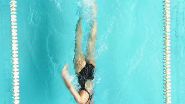 Athletic Swimmer Is Diving in a Swimming Pool - Top View