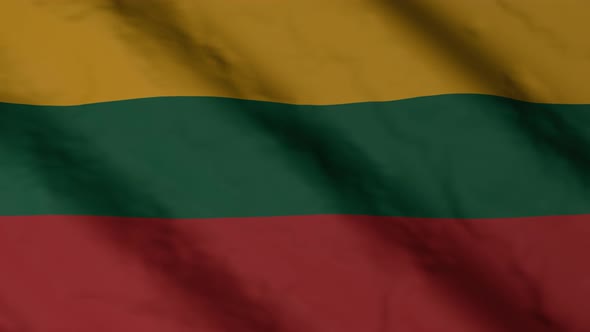 Lithuanian flag waving in the wind.