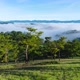 4K Timelapse Of Misty Fog Blowing Over Hill With Pine Tree Forest, Viet Nam - VideoHive Item for Sale