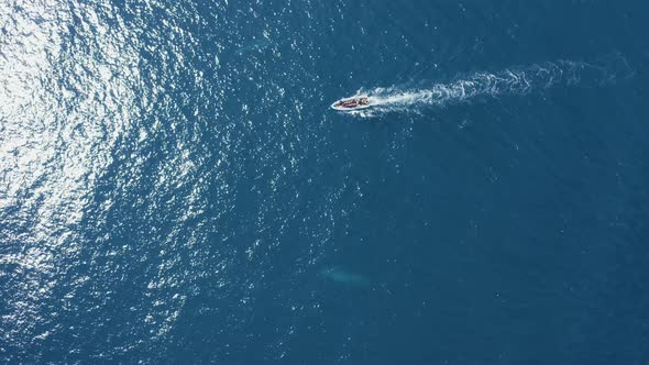 Aerial view of a motorboat in the ocean, Azores, Portugal.