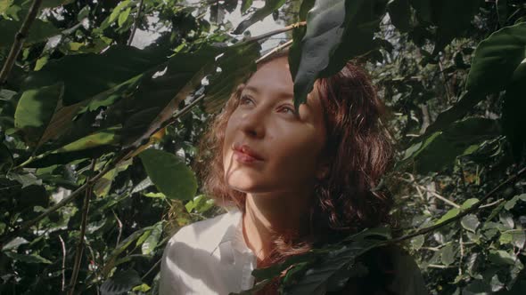 Woman Farmer is Harvesting Coffee Berries in the Coffee Farm Arabica Coffee Berries with