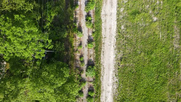 Descending over train tracks in early spring.