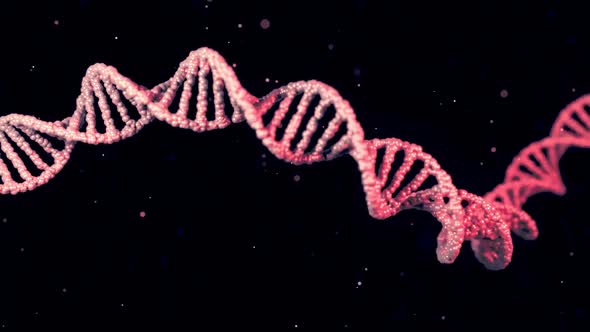 3D Rendered DNA Molecule Looped Animation alt