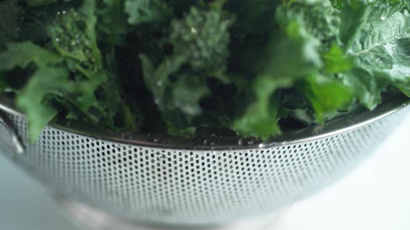 Water droplets on broccoli rape. Slow Motion.