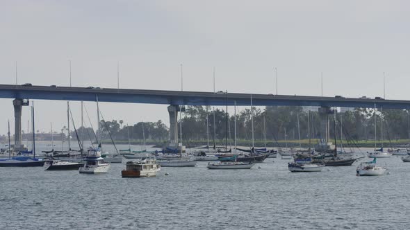 Boats anchored near Coronado Bridge