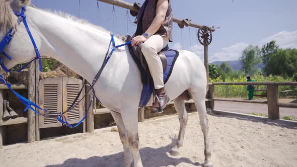 Rider on white horse looking at camera.