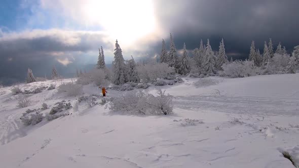 Tourist Hiking in Frozen Snowy Nature in Cold Winter Forest Landscape