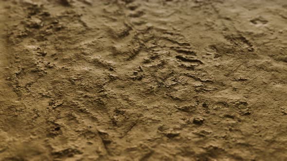 Wheel Tracks on Rough Road