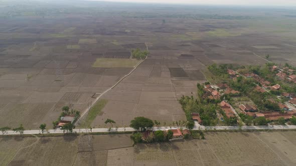 Agricultural Landscape in Indonesia