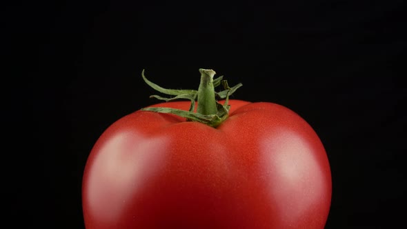 Fresh red tomato green stem