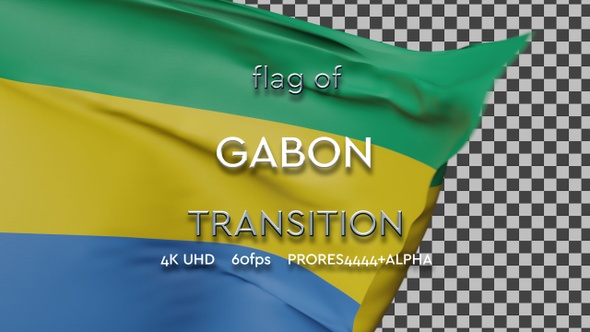 Flag of Gabon Transition | UHD | 60fps alt