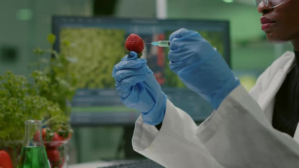 Closeup of Biologist Scientist Injecting Strawberry with Dna Liquid