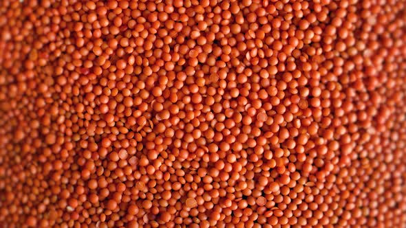 Red Lentils As Food Background