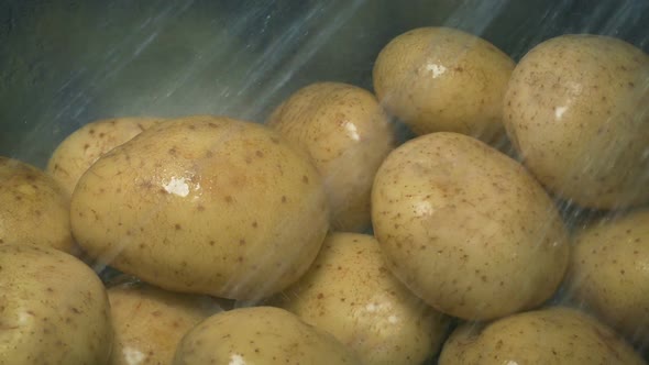Lots Of Potatoes Are Washed In The Sink