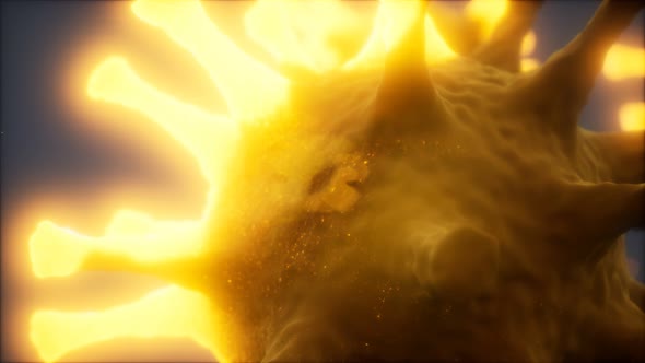 Bacteria Virus or Germs Microorganism Cells Under Microscope with Depth alt