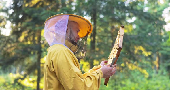 A Beekeeper Smiling Protected By a Protective Suit with a Mosquito Net on His Face Takes Care of the