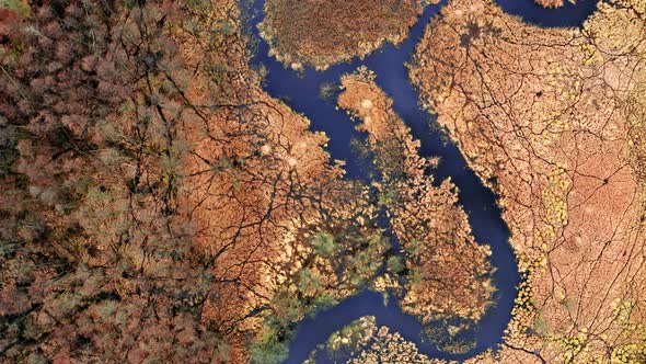 Aerial view of small winding river in brown swamps