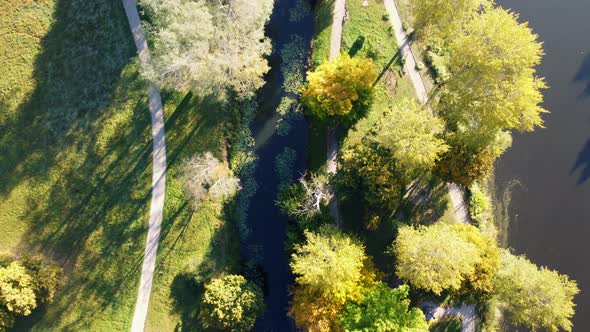 Flying Over View Trees Lake Meadow Dirt Paths and Landscape Design