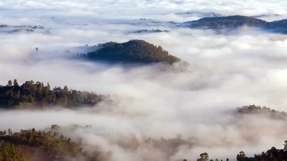 Morning Fog in the Forest Mountains Landscape, Sri Lanka 