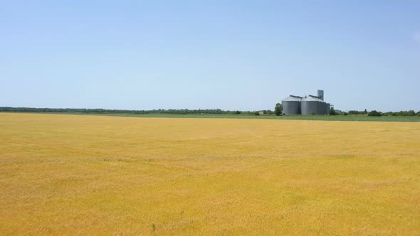 Modern Grain Silos At The Field Of Golden Wheat 8