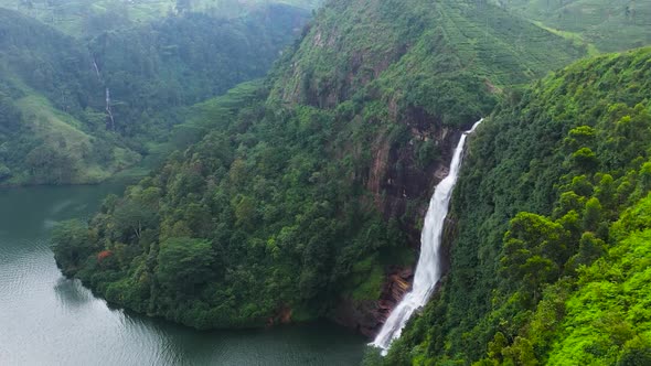 Waterfall Among Tea Estate