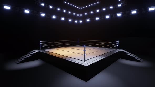 Sports Wrestling And Boxing. Sport 4K Professional Background Animation