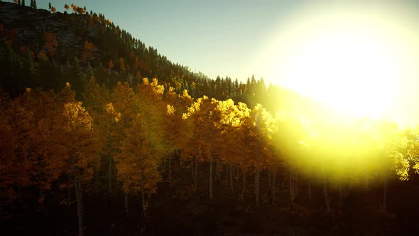 Bright Sunset in the Mountains