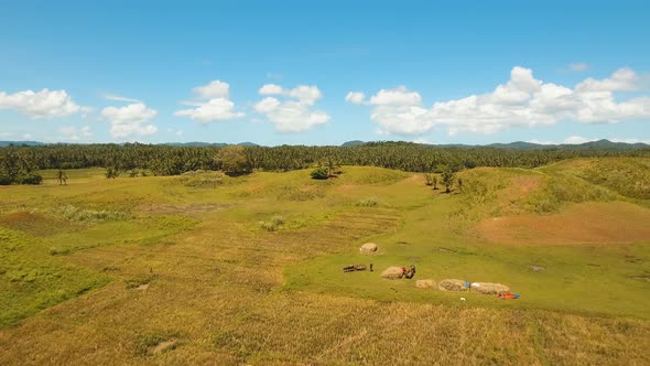 Farmland in Province Philippines