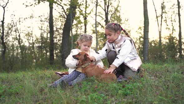 Two Little Girls are Playing with Their Dog