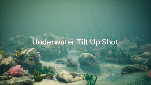 Underwater Tilt Up Shot