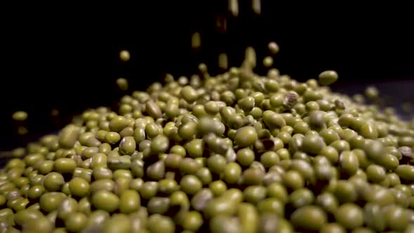 Slow Motion. Green Beans Lentils. Macro