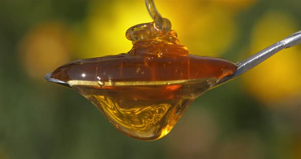 Honey Pouring On Spoon