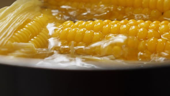 Boiling Corn at the Pan