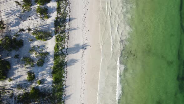 Beautiful Beach Near the Coast of Zanzibar Island Tanzania