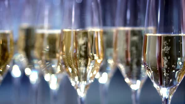 champagne in wine glasses. a sparkling wine. bubbles rise.  buffet table