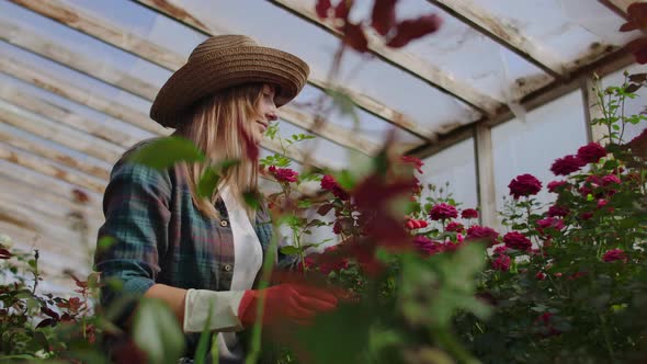 Girl Florist in a Flower Greenhouse Sitting Examines Roses Touches Hands Smiling. Little Flower