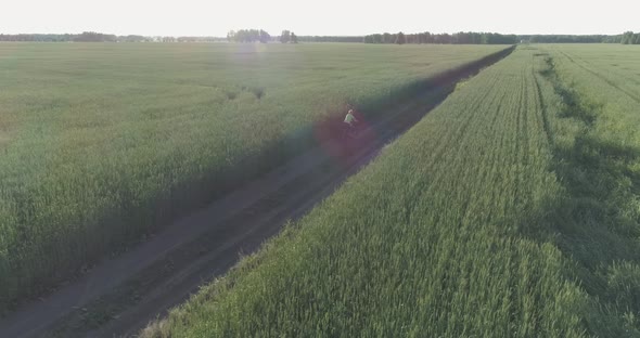 Aerial View on Young Boy That Rides a Bicycle Thru a Wheat Grass Field on the Old Rural Road