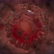 COVID-19 Virus - VideoHive Item for Sale