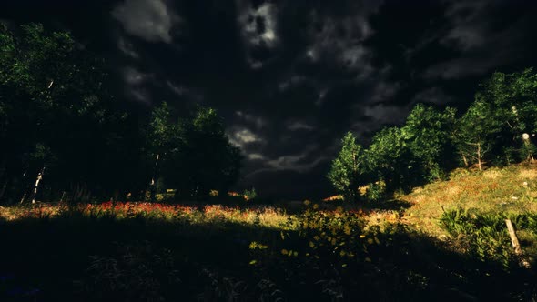 Thunderstorm Clouds with Lightning in Green Meadow