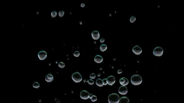 Floating Bubbles