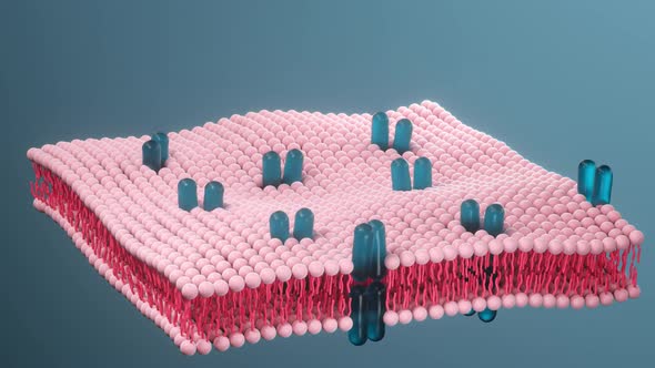 cytomembrane and biology, life and health.