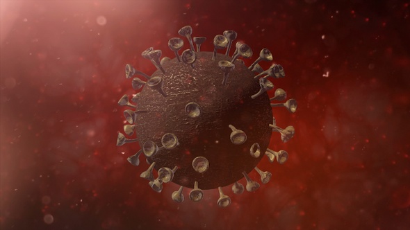 Corona Virus Inside Human Body System