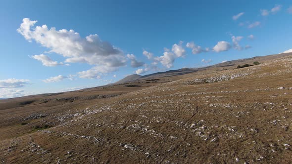 Aerial FPV Drone Shot of a Chasing and Flying Close Around Herd of Wild Horses Running on a Field at