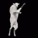 39 White Horse Dancing HD - VideoHive Item for Sale