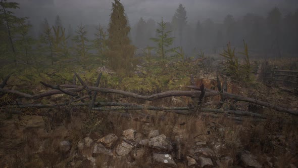 An Old Wood Fence with a Country Field Behind It