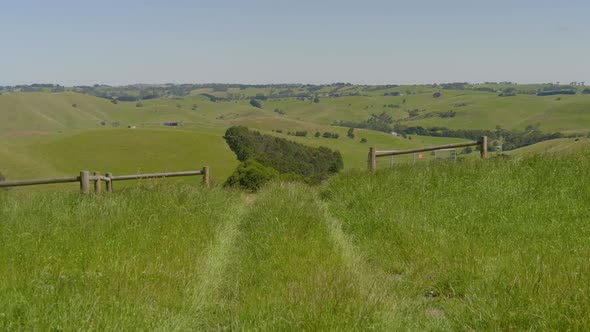 An overgrown road in a paddock with tall grass with lush green rolling hills in the background.