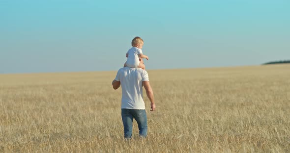 Father Carries the Baby on His Shoulders a Walk in the Field