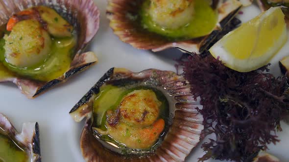 Grilled scallops with lemon, garlic and parsley sauce